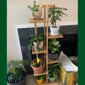 Gar-Life Bamboo Plant Stand Rack