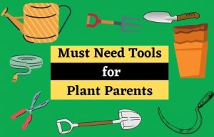 Must Need Tools for Plant Parents