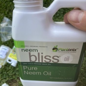 Neem Bliss Seed Oil