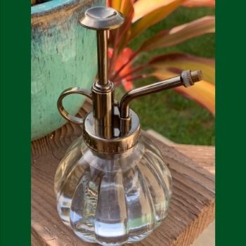 Transparent Glass Watering Spray Bottle