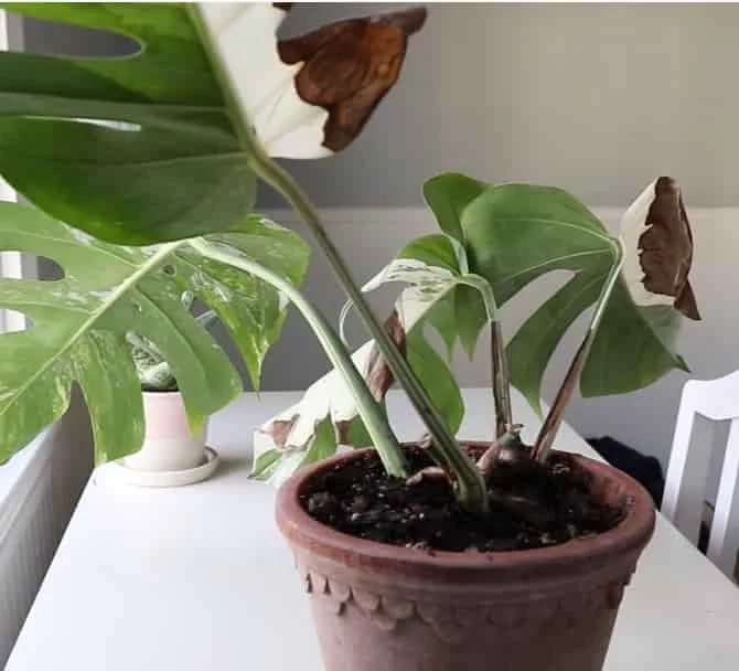 Propagation failure