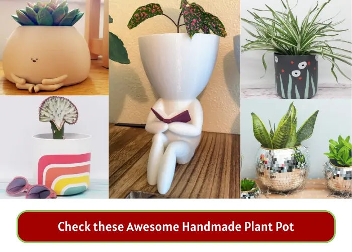 Check these Awesome Handmade Plant Pot